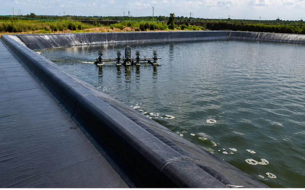 dowi aquaculture 1600x1000